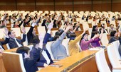 Vắng bóng đại biểu quốc hội từ điểm nóng?
