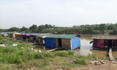 Lao xao phận ngụ cư ven sông Hồng: Mơ chốn nương thân