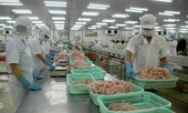 Xuất khẩu nông sản sang Trung Quốc: Gặp khó khăn kép