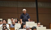 Băn khoăn thí điểm không tổ chức HĐND phường