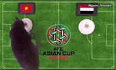 ‘Mèo tiên tri nước Anh’ dự đoán Việt Nam hạ đẹp Yemen