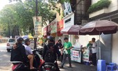 Kiếm bạc triệu mỗi ngày nhờ bán dừa mùa nắng nóng