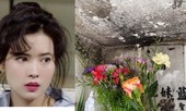 Người hâm mộ tức giận với hình ảnh phần mộ của Lam Khiết Anh bị vấy bẩn