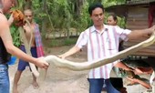 VIDEO: Kinh hãi cảnh tay trần bắt hổ mang chúa 'khủng' trốn trong tủ lạnh