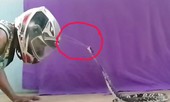 Kinh hãi cảnh rắn hổ mang phun nọc độc vào mặt người