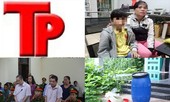 Bản tin Hình sự: Điều đặc biệt trong buổi thực nghiệm vụ giết người đúc bê tông