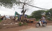 Quy hoạch chưa theo kịp thực tiễn