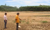 Hạn hán dai dẳng: Cây chết khô, hồ trơ đáy ở Nghệ An