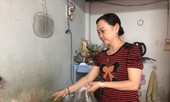 Nỗi niềm giấc mơ an cư: Quẩn quanh trong 'tổ chim'