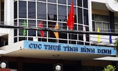 Vì sao Cục trưởng Cục Thuế Bình Định bị giáng chức?