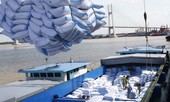Xuất nhập khẩu năm 2019: Lợi gì từ kim ngạch 500 tỷ USD?