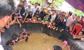 Bí mật kỳ thú về đá gà