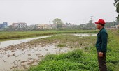 Dự án chậm trễ, đồng ruộng bỏ hoang