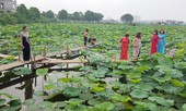 Quanh chuyện chụp ảnh ở hồ sen