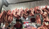 Ðiêu đứng vì dịch tả heo châu Phi
