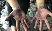 Nước sông Đà cấp cho Hà Nội nhiễm styren: Khuyến cáo không dùng để ăn, uống