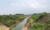 Ðề xuất quan trắc độc tố tại đầu nguồn nước sông Ðà