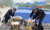 Cắt giảm điều kiện kinh doanh: Bỏ cũ, thêm mới