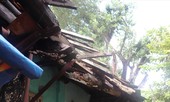 Đại di dân tại Kinh thành Huế: Sống khổ giữa di tích