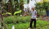 Thương binh nặng khiếu nại đất cấp thiếu