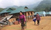 Dân vùng lũ hết cảnh ở nhờ