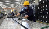 Vì sao 5 triệu hộ kinh doanh 'nằm ngoài' luật?