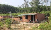 Ồ ạt xây công trình trái phép đợi đền bù
