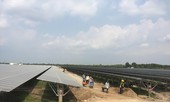 Bộ Công Thương loay hoay xử lý đầu ra cho điện gió, điện mặt trời