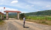 Nhiều sai phạm tại dự án nghìn hecta, vạn con bò