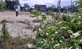 'Vẽ' siêu dự án đô thị trên đất nông nghiệp