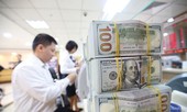 Tỷ giá cuối năm không có... sóng