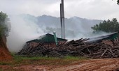 'Phép vua' thua lò sấy cau chui