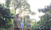 Dân và doanh nghiệp tranh chấp đất vì mỏ than bùn