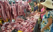 Dịch bệnh xâm nhiễm vào Việt Nam qua đường nào?