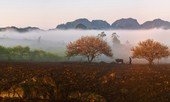 Dứt bỏ những cuộc đua huy chương, giải thưởng