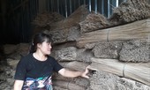 Lao đao một làng nghề