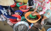 Thăng trầm mùa nước nổi