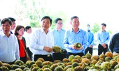 DOVECO: Bà đỡ cho nông nghiệp hiện đại, bền vững