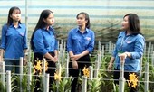 Nhiều chủ đề 'nóng', mô hình hay