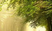 Khoảng khắc thanh bình của thiên nhiên