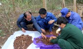Phát hiện hài cốt liệt sĩ ở Trường Sơn