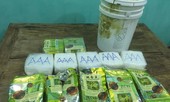 Bộ đội Biên phòng khởi tố vụ án ma túy dạt vào bờ biển Quảng Trị