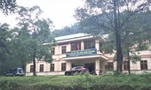 Mất rừng, lãnh đạo Hạt Kiểm lâm tại Đakrông bị kỷ luật