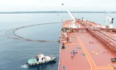 Giá dầu giảm và chuyện “vượt bão” của Lọc hóa dầu Bình Sơn