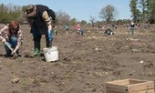 Công viên là mỏ kim cương lộ thiên, khách du lịch đổ xô tới đào xới tự do
