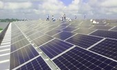Dự án điện mặt trời của Sao Mai Group gấp rút thi công