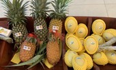 VNPT giới thiệu giải pháp CNTT cho nông nghiệp công nghệ cao