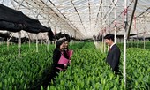 Agribank – Thúc đẩy 'xanh hóa' tín dụng