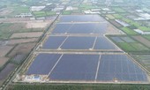 Xung lực mới cho thị trường điện mặt trời