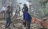 Người mua phải đặt cọc tiền tỷ để đấu giá gỗ sưa ở Hà Nội